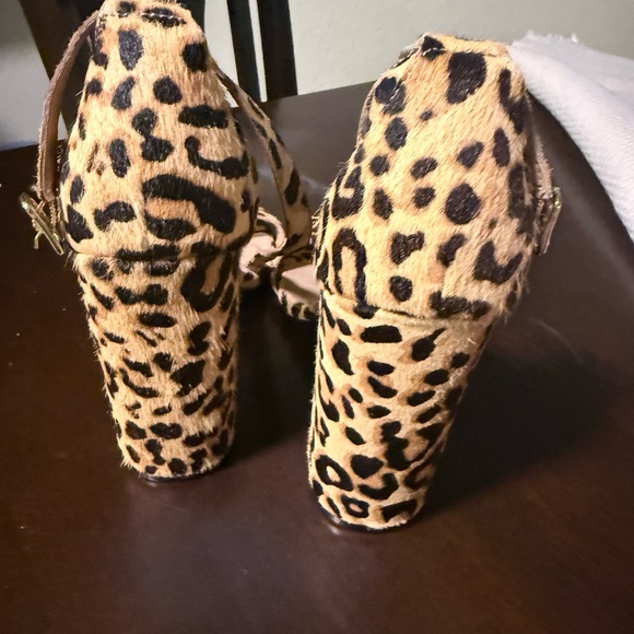 Steve Madden DYLANN-L LEOPARD Women's Shoes - Picture 4 of 7